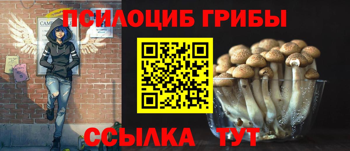 Тайшет  Псилоцибиновые грибы мухоморы  Вход с VPN 